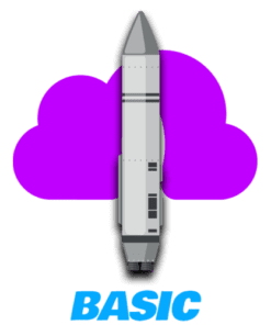 Basic | Full Service Managed Website