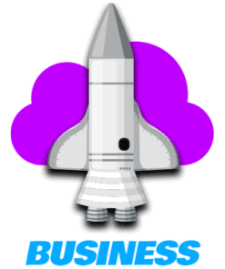 Business | Full Service Managed Website